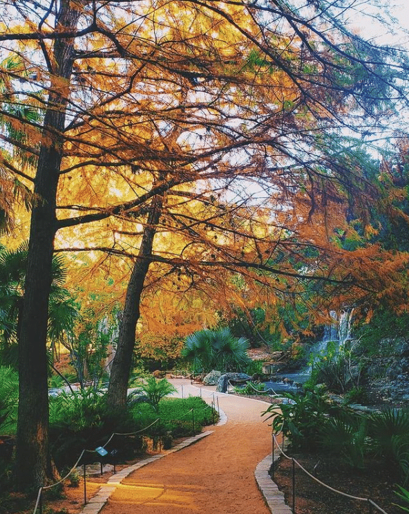 The Zilker Botanical Gardens