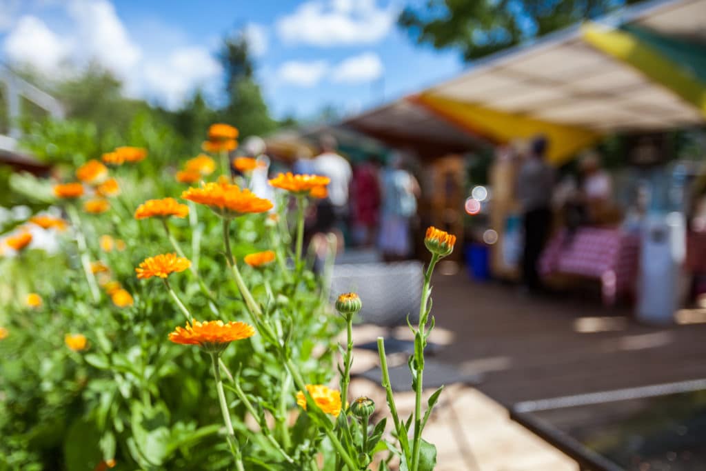 Austin Farmers Market Guide