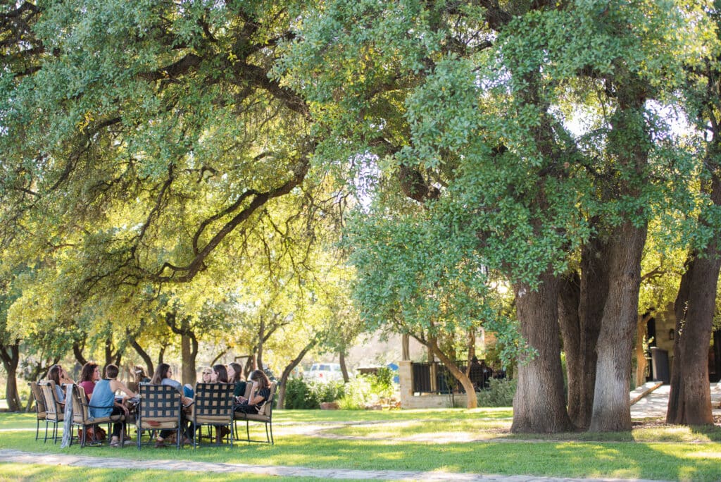 Spicewood Vineyards