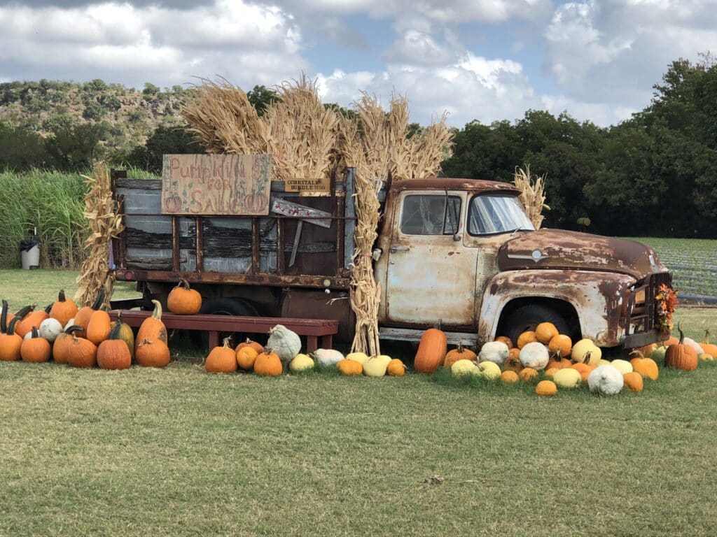 Sweet Berry Farms