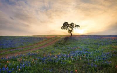 2023 Austin Outdoor Bucket List: Discover the Beauty of Austin